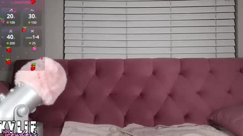 Snapshot of kylieboudoir chatting on 02-18-25, 05:20 Kylie Boudoir online show from 02-18-25, 05:20