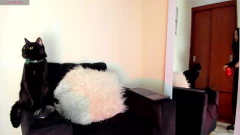 Snapshot of lace_victoria chatting on 01-07-26, 06:54 lace_victoria online show from 01-07-26, 06:54