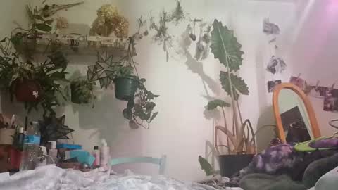 Snapshot of lacybell chatting on 12-24-24, 06:44 lacybell online show from 12-24-24, 06:44