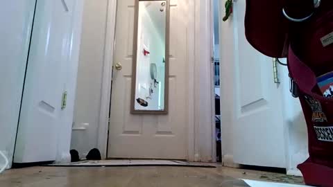 Snapshot of lacybell chatting on 01-08-25, 02:14 lacybell online show from 01-08-25, 02:14