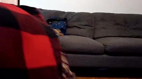 Snapshot of lacybell chatting on 02-07-25, 10:40 lacybell online show from 02-07-25, 10:40