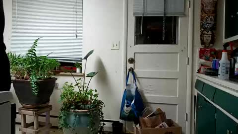 Snapshot of lacybell chatting on 02-15-25, 05:19 lacybell online show from 02-15-25, 05:19