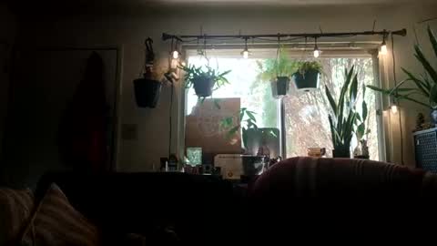 Snapshot of lacybell chatting on 09-21-25, 10:11 lacybell online show from 09-21-25, 10:11