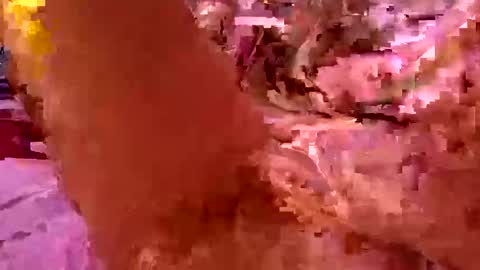 lady24x online show from 05-03-26, 03:07