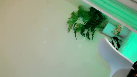 Stella online show from 09-28-25, 10:26