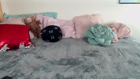 Snapshot of ladyboyhomemaker chatting on 03-06-25, 08:30 ladyboyhomemaker online show from 03-06-25, 08:30