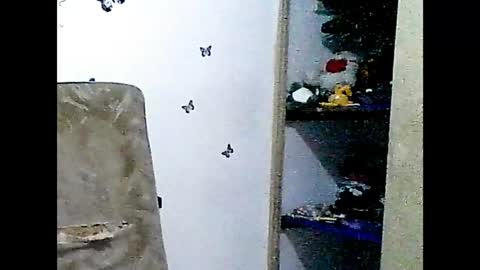 ladydeathz online show from 12-15-24, 04:37