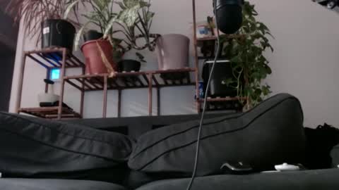 Rick online show from 12-11-24, 08:26