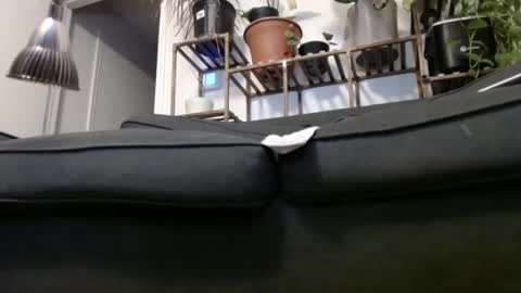 Rick online show from 12-23-24, 04:33