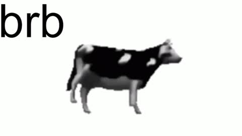 just call me Lana  and her security online show from 02-07-25, 02:15