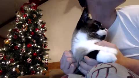 Lance online show from 12-30-24, 01:04