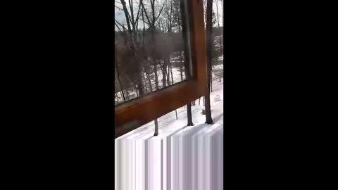 Snapshot of langederek2 chatting on 03-19-26, 03:27 langederek2 online show from 03-19-26, 03:27