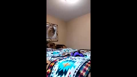 Snapshot of langederek2 chatting on 03-26-26, 08:58 langederek2 online show from 03-26-26, 08:58