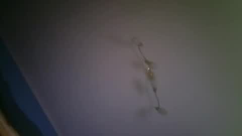 Snapshot of larry009 chatting on 12-15-25, 03:00 larry009 online show from 12-15-25, 03:00