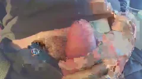 Snapshot of latil chatting on 11-29-25, 08:39 joseph online show from 11-29-25, 08:39