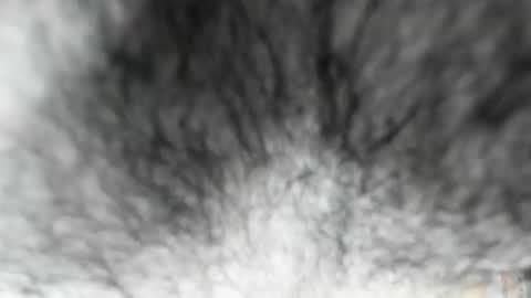 Snapshot of latinhotboys1 chatting on 02-03-26, 08:08 Zeus online show from 02-03-26, 08:08