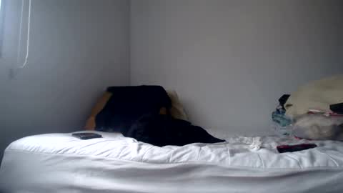 DEXTER online show from 02-24-25, 08:58