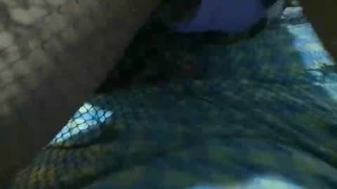 latinoboi2 online show from 04-01-26, 04:57