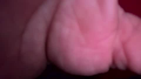 latinotx30191634 online show from 02-23-26, 07:00