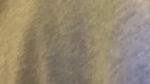 Snapshot of latn_73 chatting on 03-09-26, 01:42 Mexakin online show from 03-09-26, 01:42