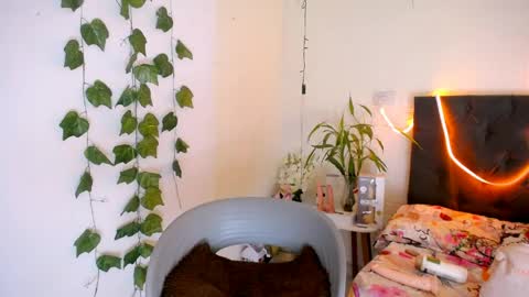 LAURA online show from 05-19-26, 03:40