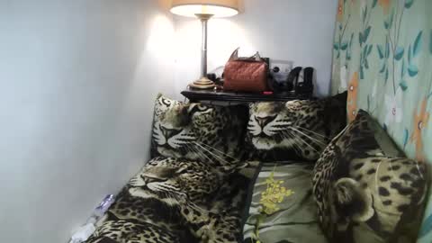 Snapshot of laureen_gavh chatting on 02-08-25, 10:08 Belle online show from 02-08-25, 10:08