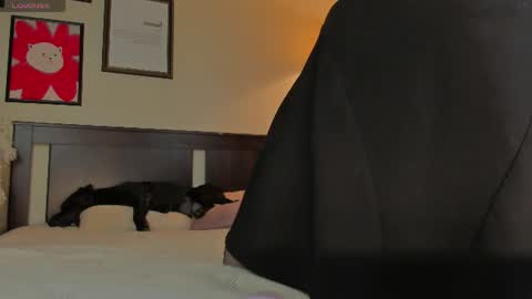 Lav online show from 07-30-26, 09:14