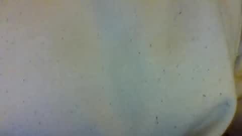 layannalea online show from 02-13-26, 07:04