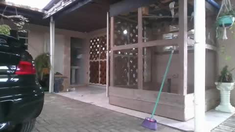 kelly online show from 12-22-25, 08:28