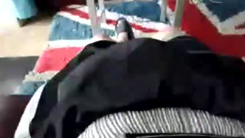 leatherpants68 online show from 07-17-26, 09:05