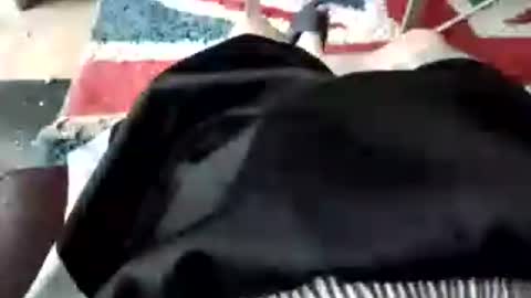 leatherpants68 online show from 07-18-26, 08:40