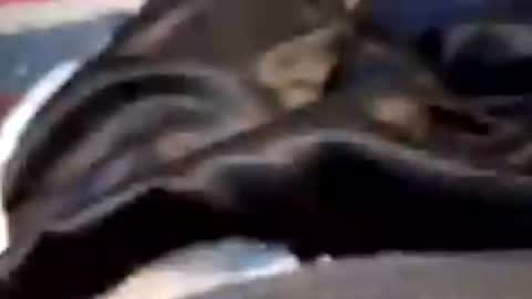 leatherpants68 online show from 07-19-26, 08:12