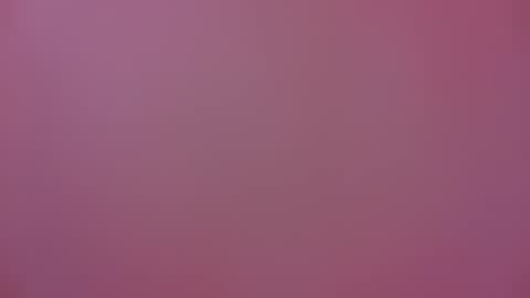 Michel online show from 01-17-25, 06:23