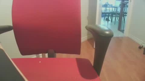 Snapshot of ledoc_ chatting on 09-11-25, 11:16 LeDoc online show from 09-11-25, 11:16