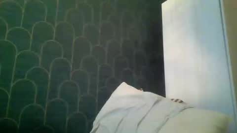 leeuwarder12 online show from 11-20-25, 07:35