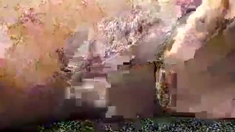 Snapshot of legofactory chatting on 01-27-25, 04:52 legofactory online show from 01-27-25, 04:52