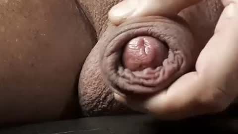 Snapshot of legofactory chatting on 02-13-25, 04:54 legofactory online show from 02-13-25, 04:54