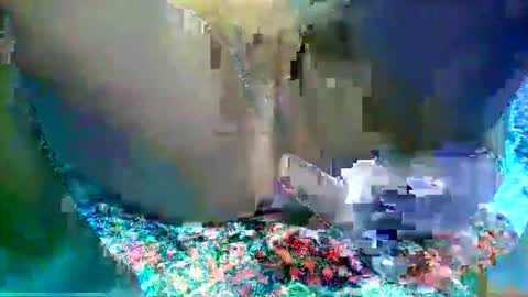 leilah_hope online show from 02-16-26, 05:47