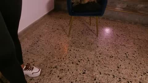 Leja online show from 04-28-26, 06:46