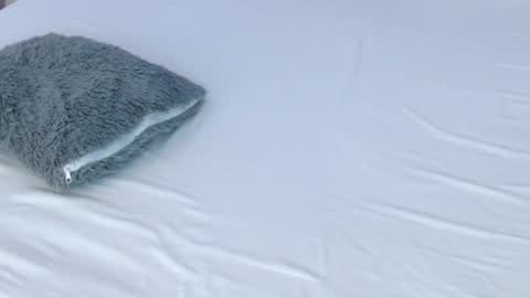 LUCY online show from 11-28-25, 08:55