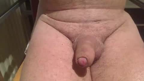 Snapshot of letusplayagain chatting on 02-09-26, 06:17 letusplayagain online show from 02-09-26, 06:17