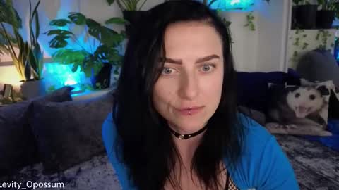 Levity online show from 11-11-25, 11:05