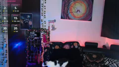 Lexxii online show from 05-17-26, 09:00