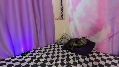 LexxxY online show from 08-01-26, 07:07