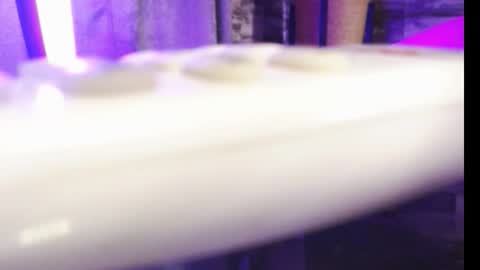 lexywetrain online show from 10-19-25, 10:21