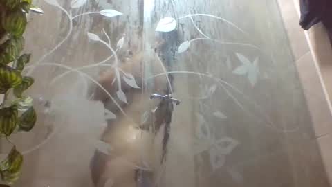 Snapshot of leyla_horny_bg chatting on 12-22-25, 09:56 leyla_horny_bg online show from 12-22-25, 09:56