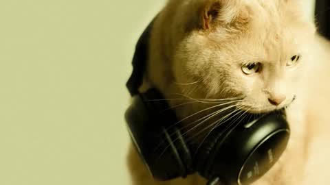 Snapshot of li_lit chatting on 03-02-26, 05:08 li_lit online show from 03-02-26, 05:08