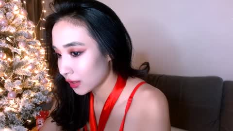 Snapshot of li_noen chatting on 12-27-24, 08:39 Li online show from 12-27-24, 08:39