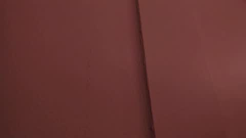 Liss 3 online show from 03-29-26, 10:37