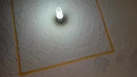 lianfox_ online show from 07-11-26, 12:30